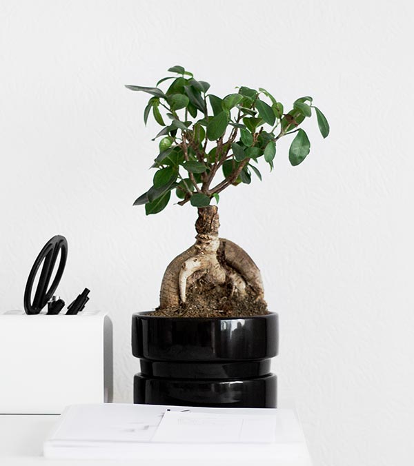offices-image-2 a